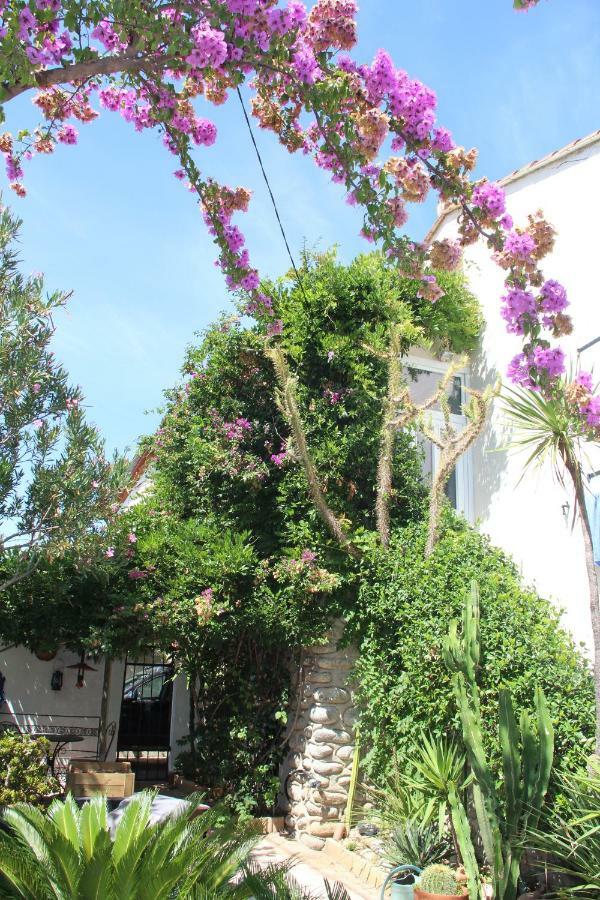 Appartement Dans Quartier Calme Avec Jardin Pour 2 Pers 滨海阿热莱斯 外观 照片